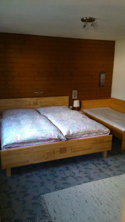 Haus Schiestl Apartment Цел ам Цилер Стая снимка